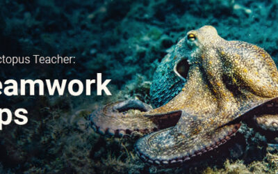 Your Website of the Month: Teamwork Tips from My Octopus Teacher