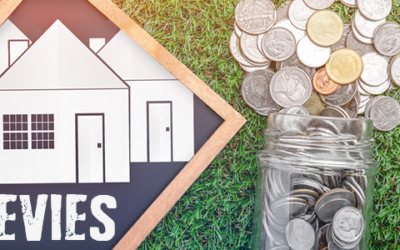 Bodies Corporate: Before You Sequestrate to Recover Arrears…