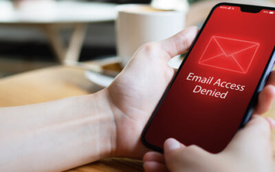 Directors at War: Terminating Email Access