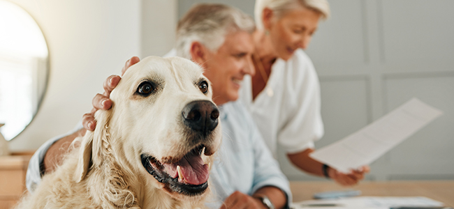 Estate Planning: Remember your Pets!